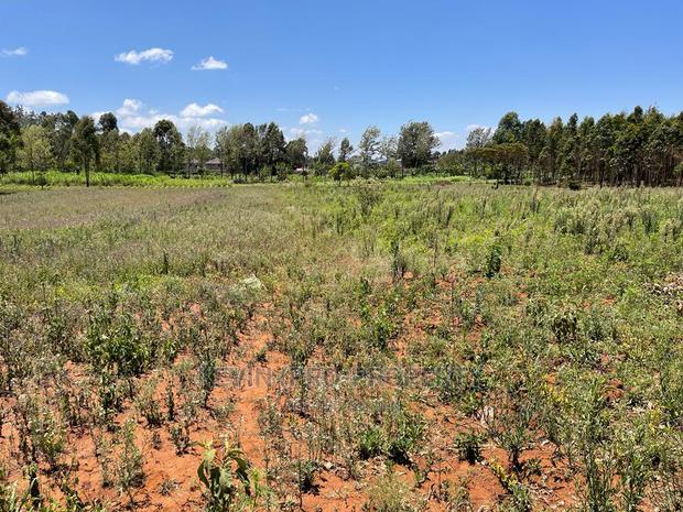 One Acre Land for Sale in Kikuyu, Lusigetti- Kiambu County. - thumbnail 6