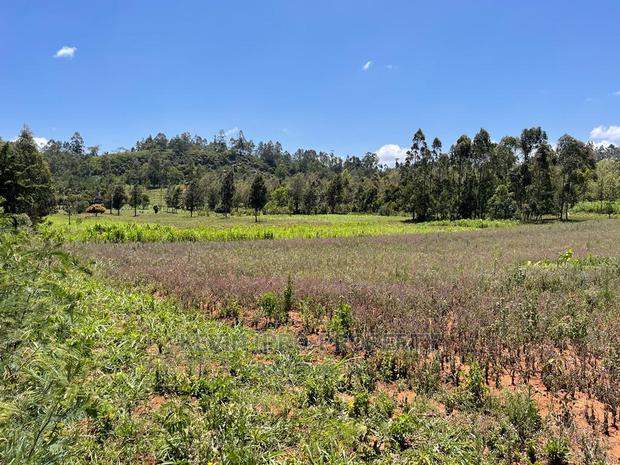 One Acre Land for Sale in Kikuyu, Lusigetti- Kiambu County. - thumbnail 5