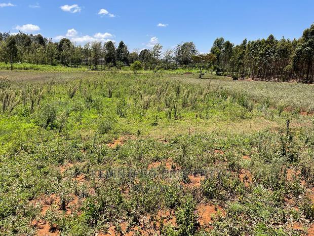 One Acre Land for Sale in Kikuyu, Lusigetti- Kiambu County. - thumbnail 7
