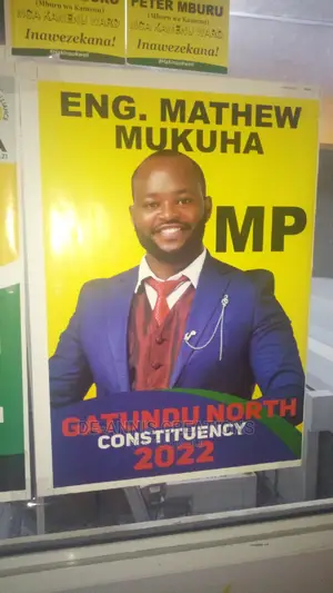 A3 Campaign Posters