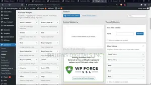 Wordpress Developer