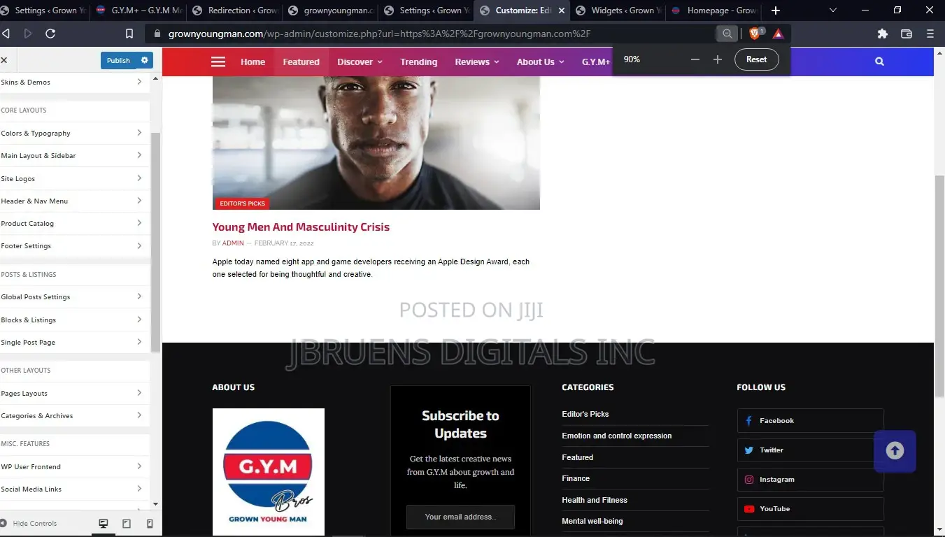 Wordpress Developer