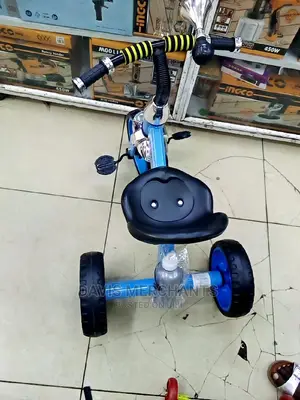 Tricycle Baby Smart Bike