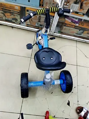 Tricycle Baby Smart Bike