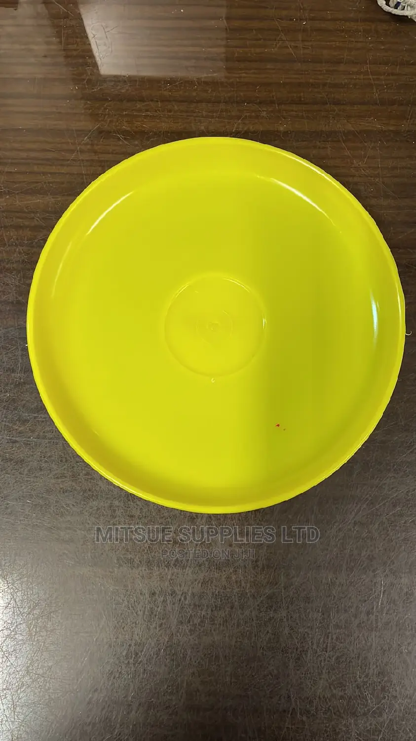 Pair of Frisbee 22 Cm- Flying Disc Sport
