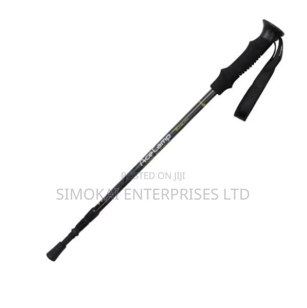 Carbon Fiber Trekking Pole With Eva Grip