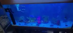 White Sanded Aquariums