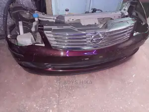Ex Japan Nissan Silphy Nosecut on Sale