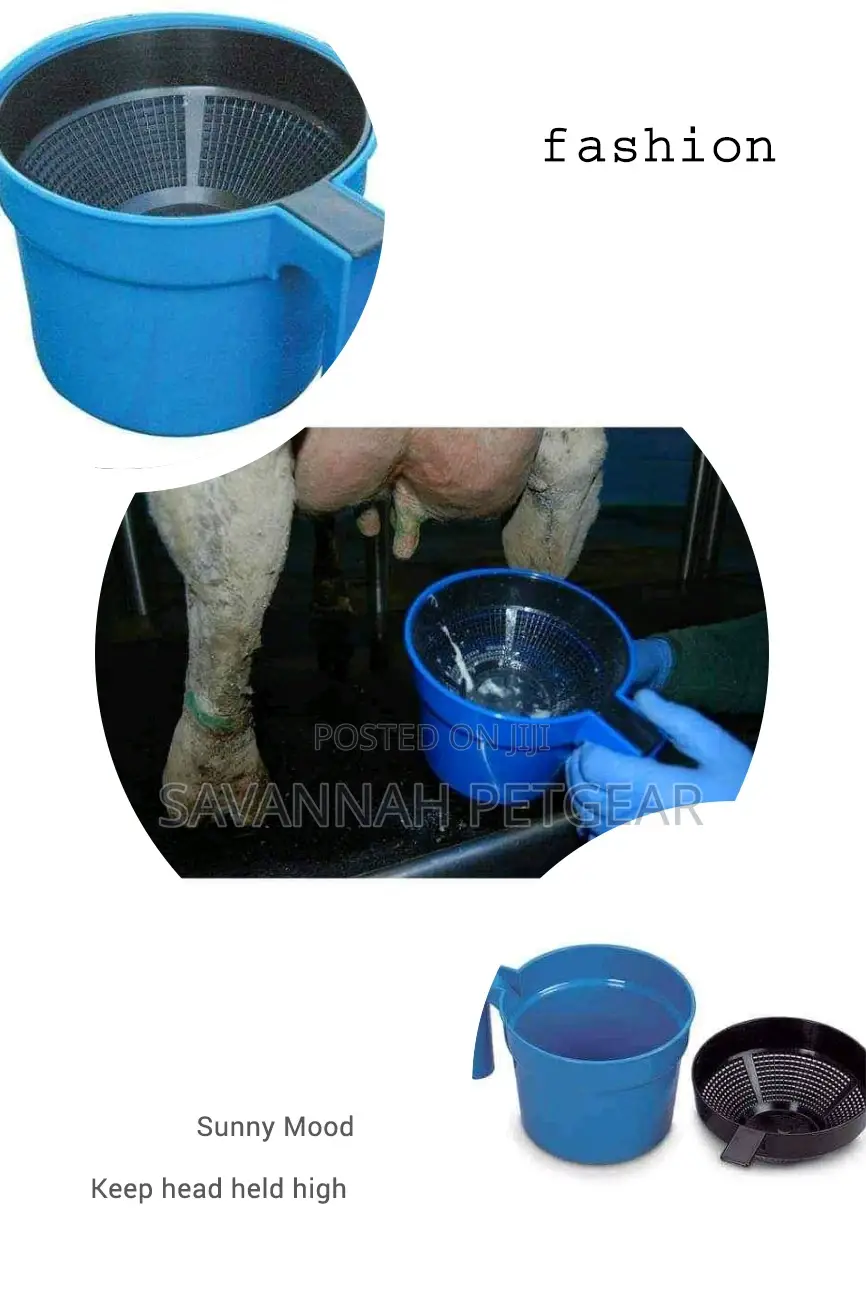 Strip Cup To Test For Mastitis
