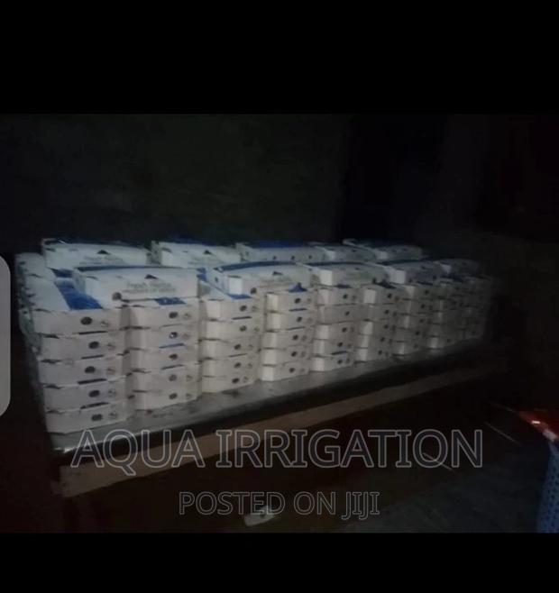 Blue Bags for Assorted Herbs - thumbnail 5