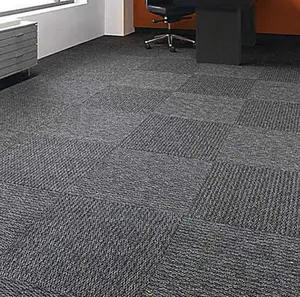Gray Wall to Wall Carpet