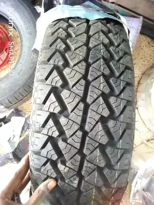 235/65 R17 Pts Tyre A/T