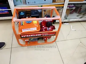 Gasoline High Pressure Water Pump