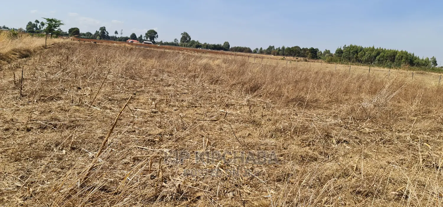 1⁄2 Acre Plot for Sale in Chepkanga Near Lelit in Eldoret