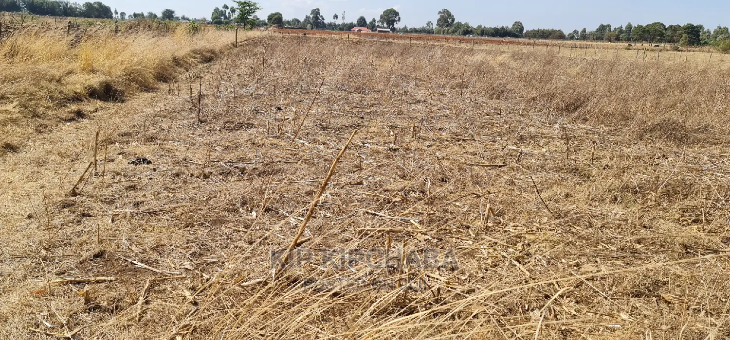 1⁄2 Acre Plot for Sale in Chepkanga Near Lelit in Eldoret