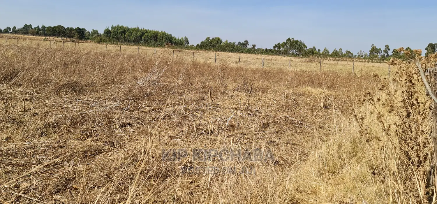1⁄2 Acre Plot for Sale in Chepkanga Near Lelit in Eldoret