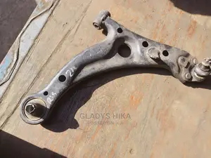 Ex Japan Arms for Premio Nyoka