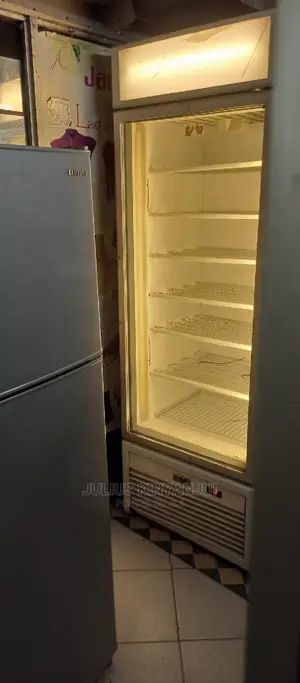 Freezer 600L Upright