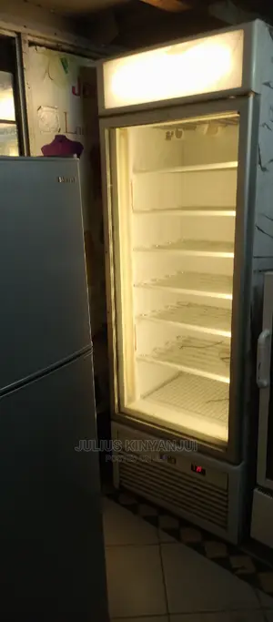 Freezer 600L Upright