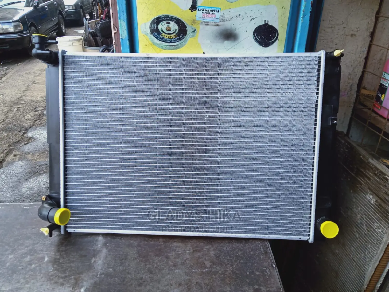 Harrier 240 Radiator