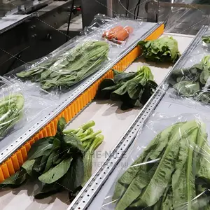 Fruit and Vegetable Machine Pack