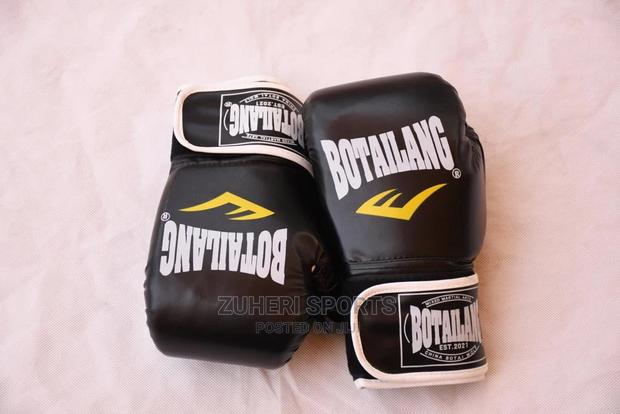 Boxing Gloves / MMA Gloves Black Botailang Brand