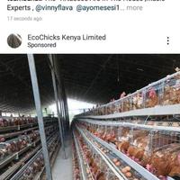 Poltom Agribiz Farm logo