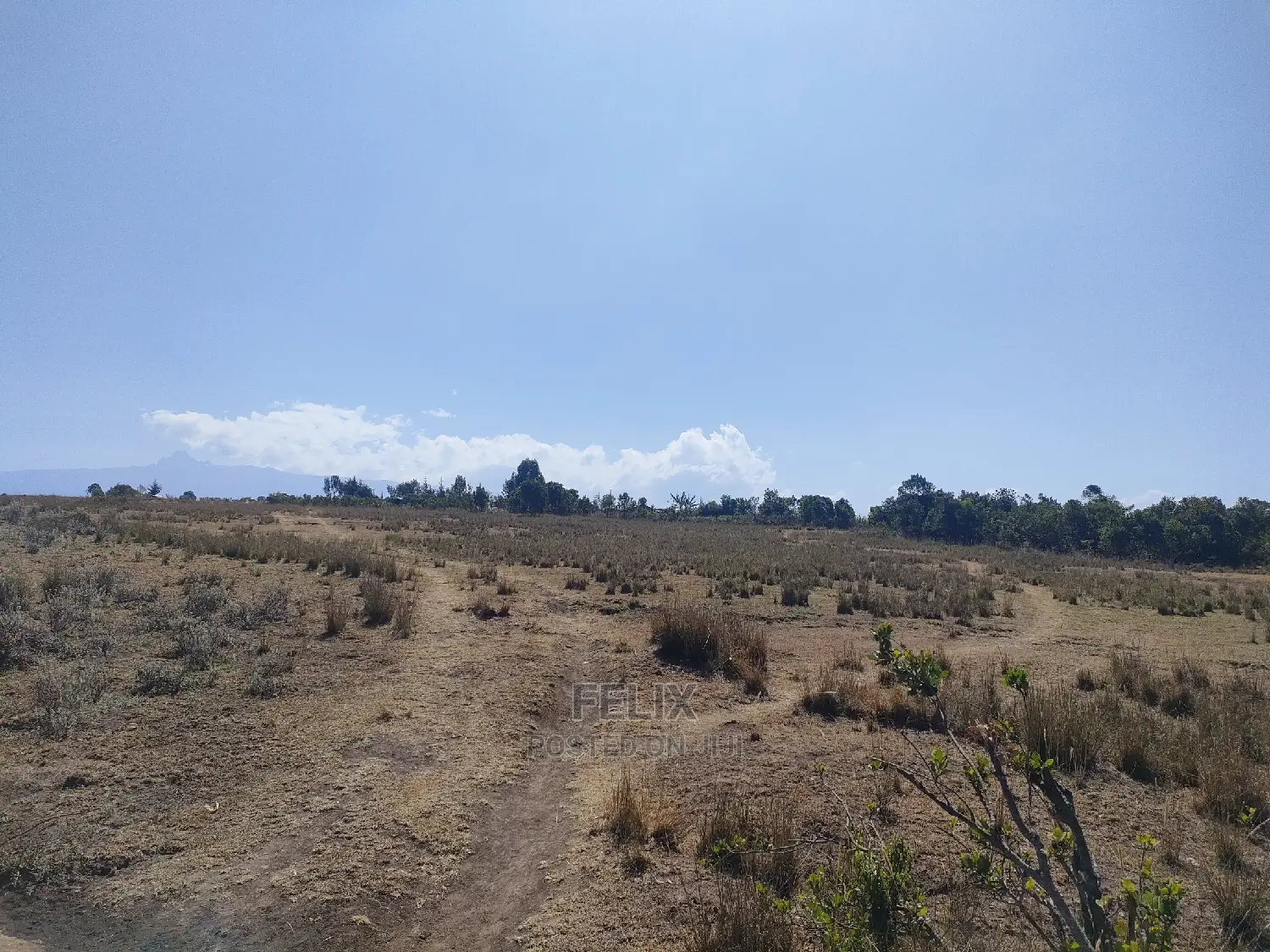 Chaka /Lusoi 2 Acres