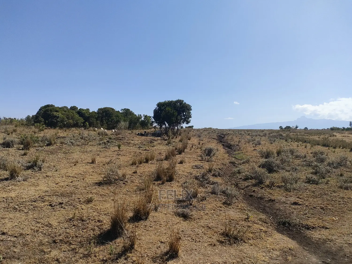 Chaka /Lusoi 2 Acres