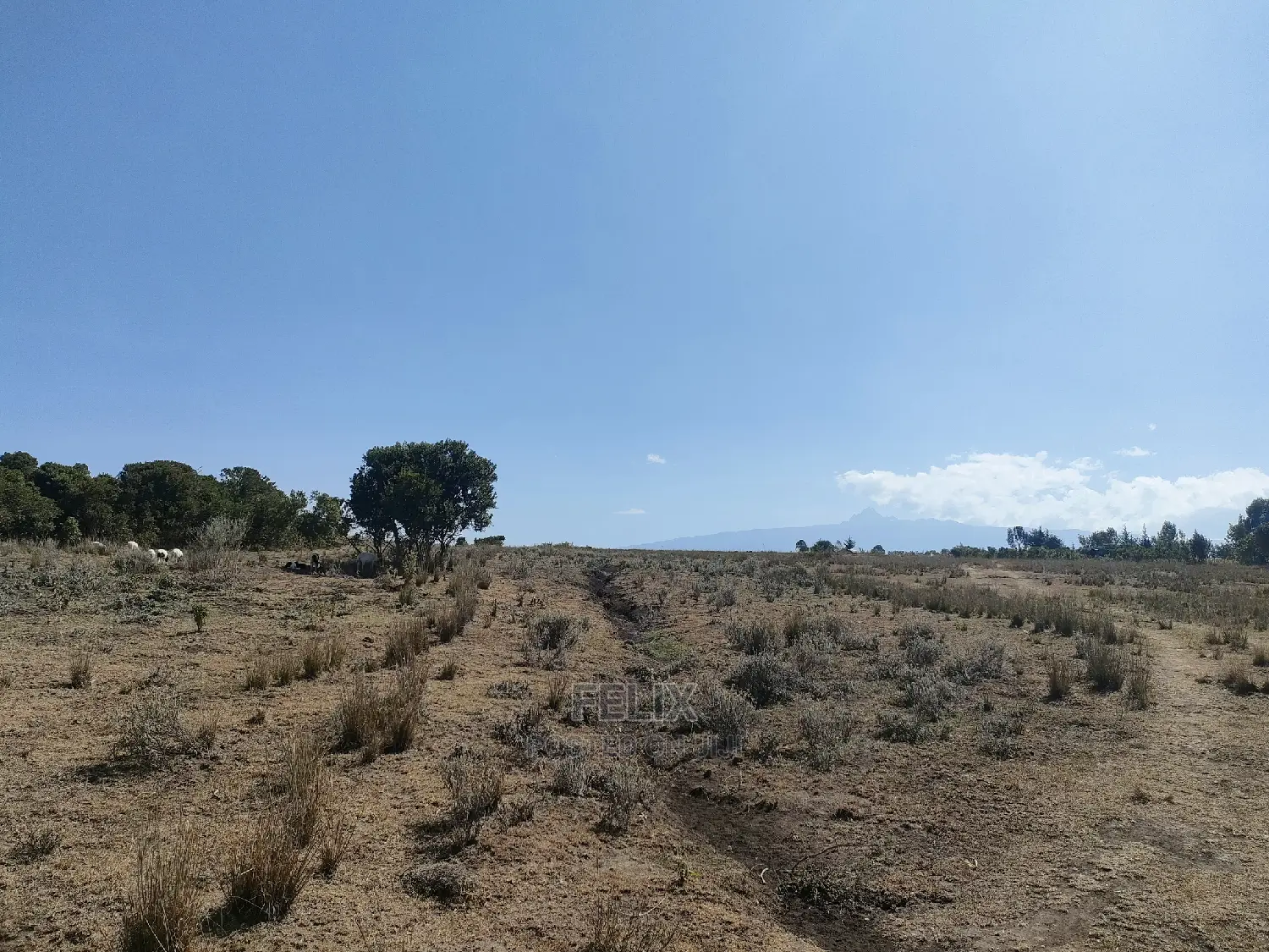 Chaka /Lusoi 2 Acres