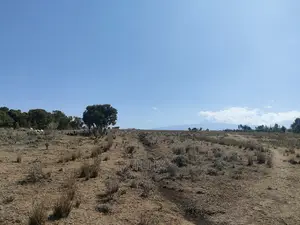 Chaka /Lusoi 2 Acres