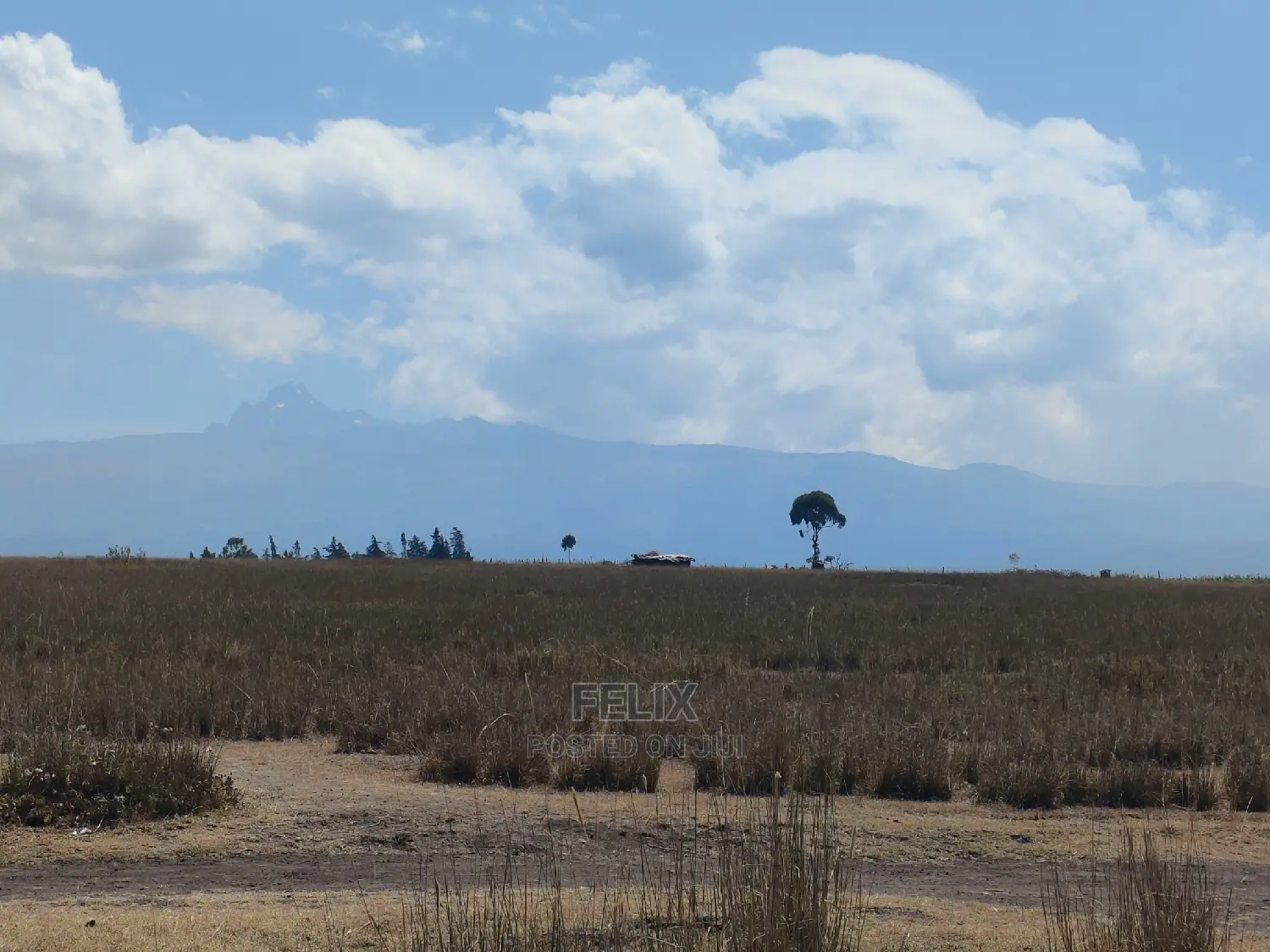 Chaka /Lusoi 2 Acres