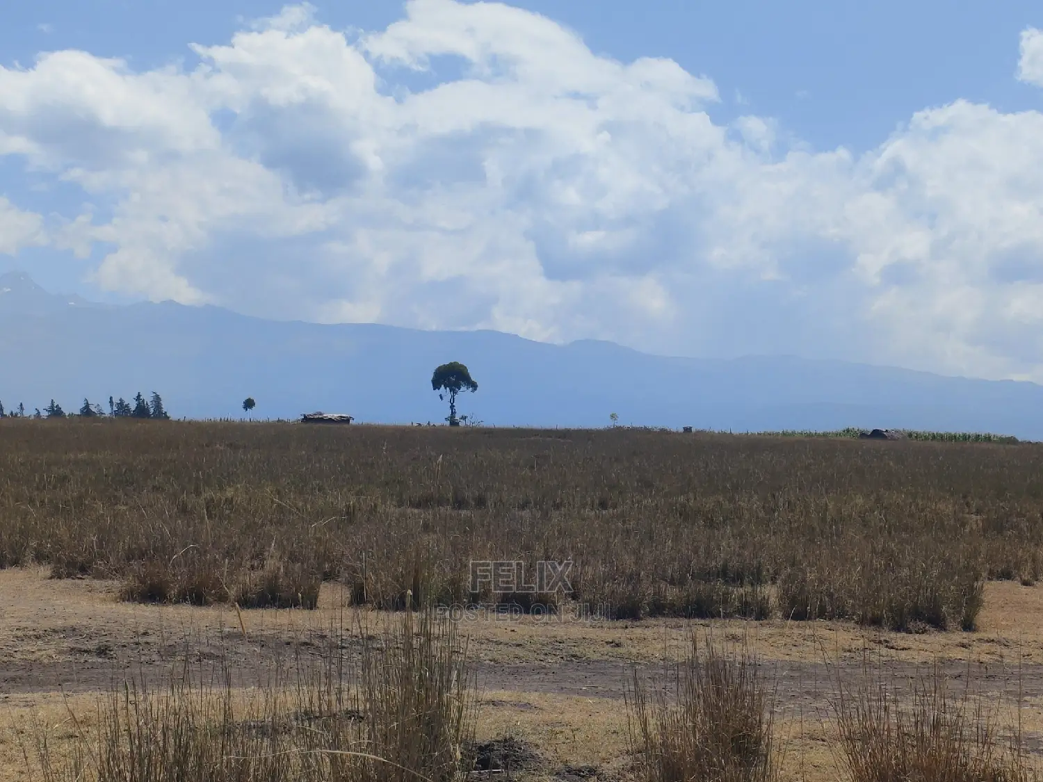 Chaka /Lusoi 2 Acres
