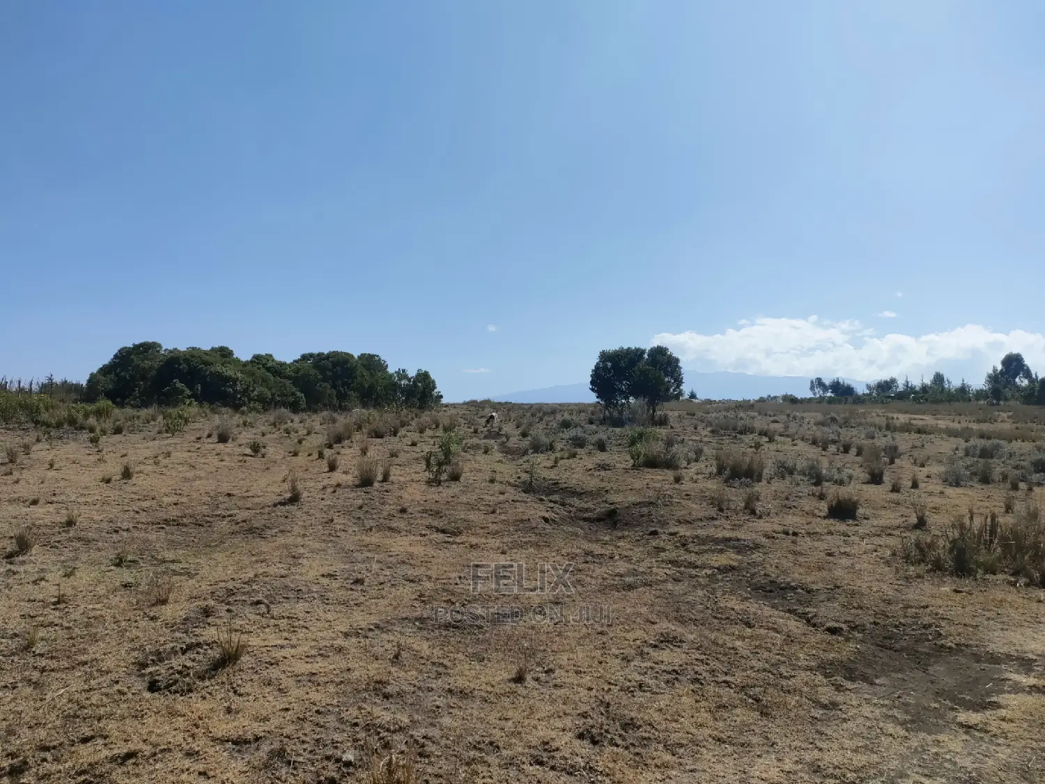 Chaka /Lusoi 2 Acres