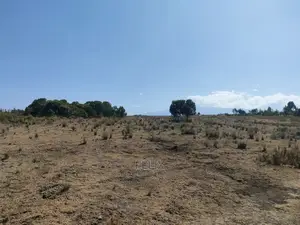 Chaka /Lusoi 2 Acres