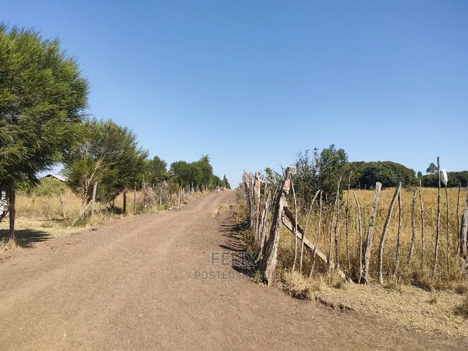 Chaka /Lusoi 2 Acres