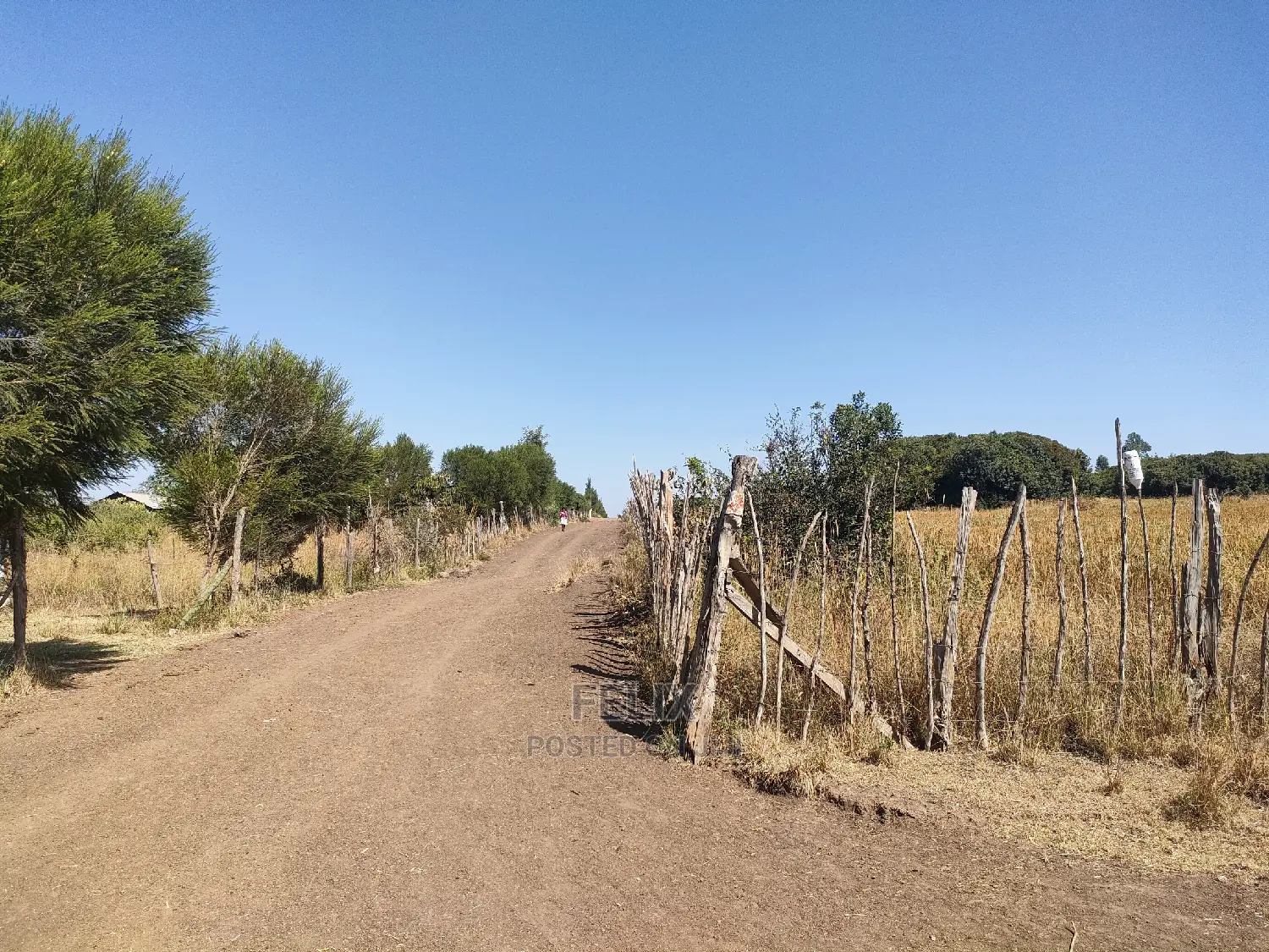 Chaka /Lusoi 2 Acres