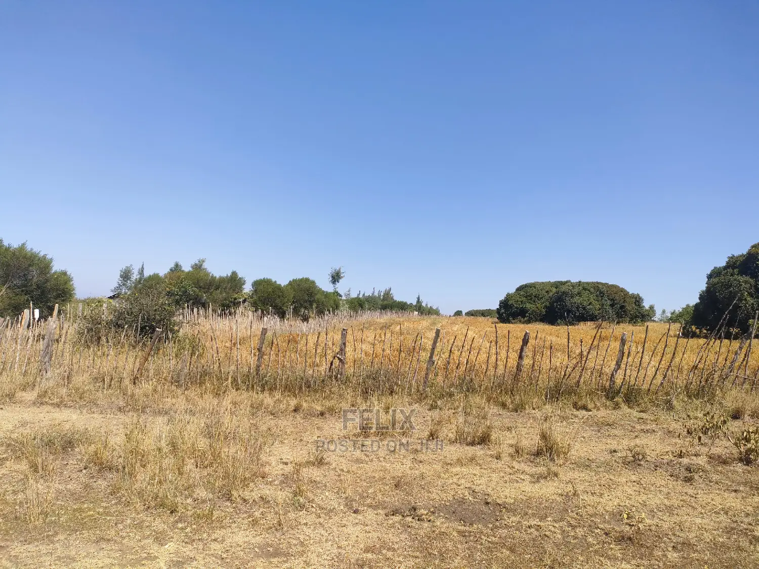 Chaka /Lusoi 2 Acres