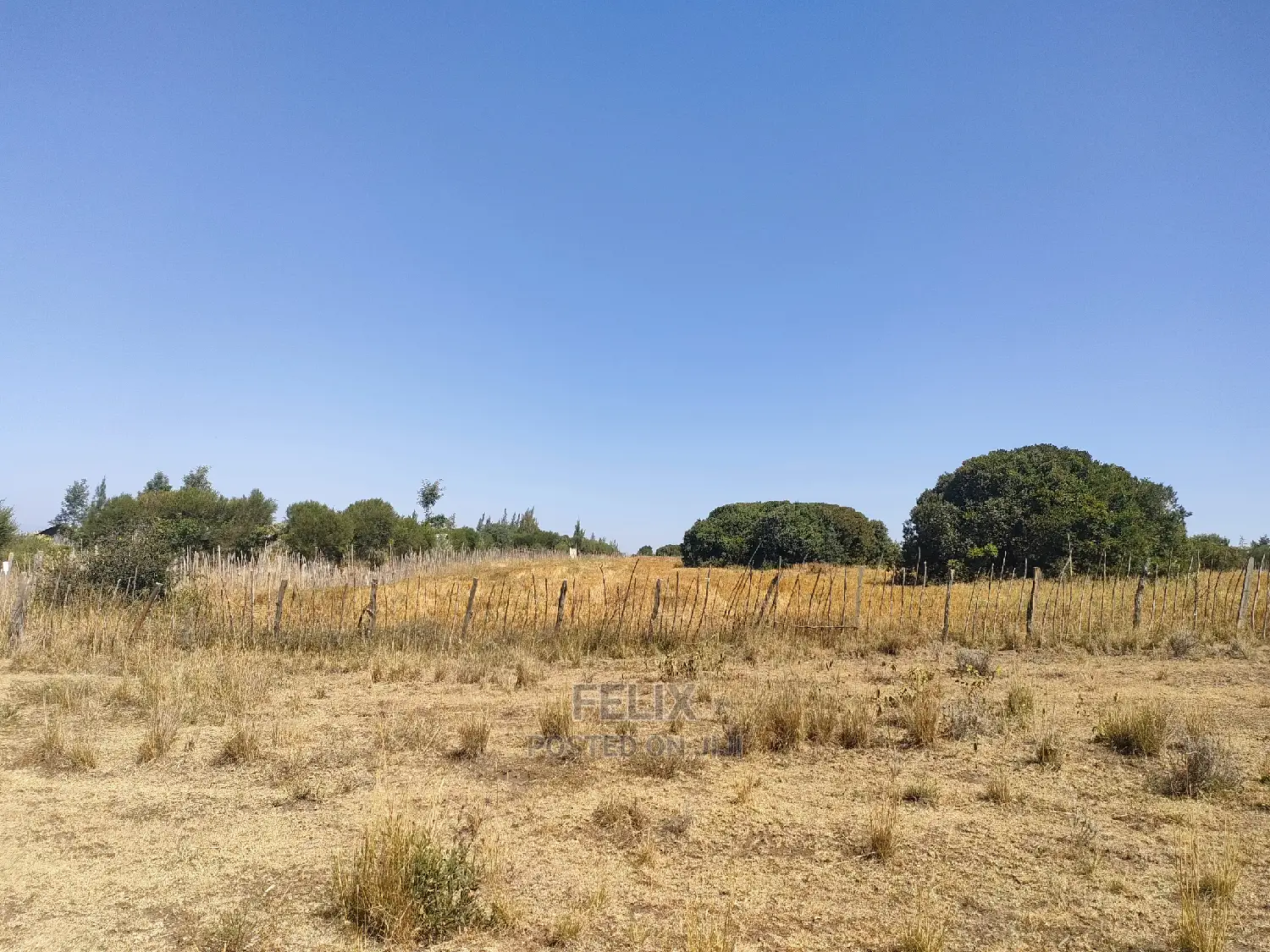Chaka /Lusoi 2 Acres