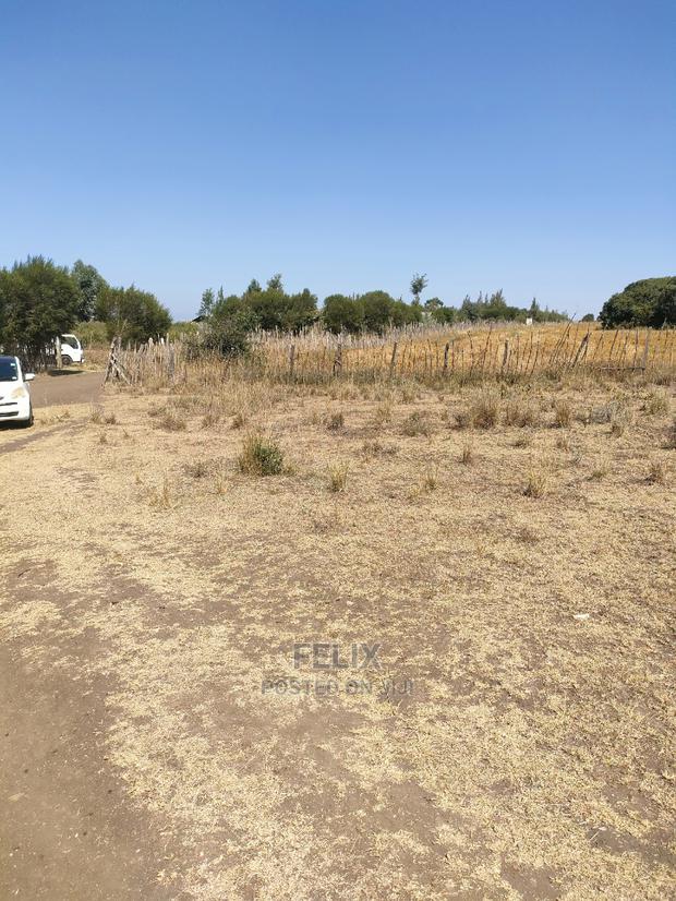 Chaka /Lusoi 2 Acres - thumbnail 16