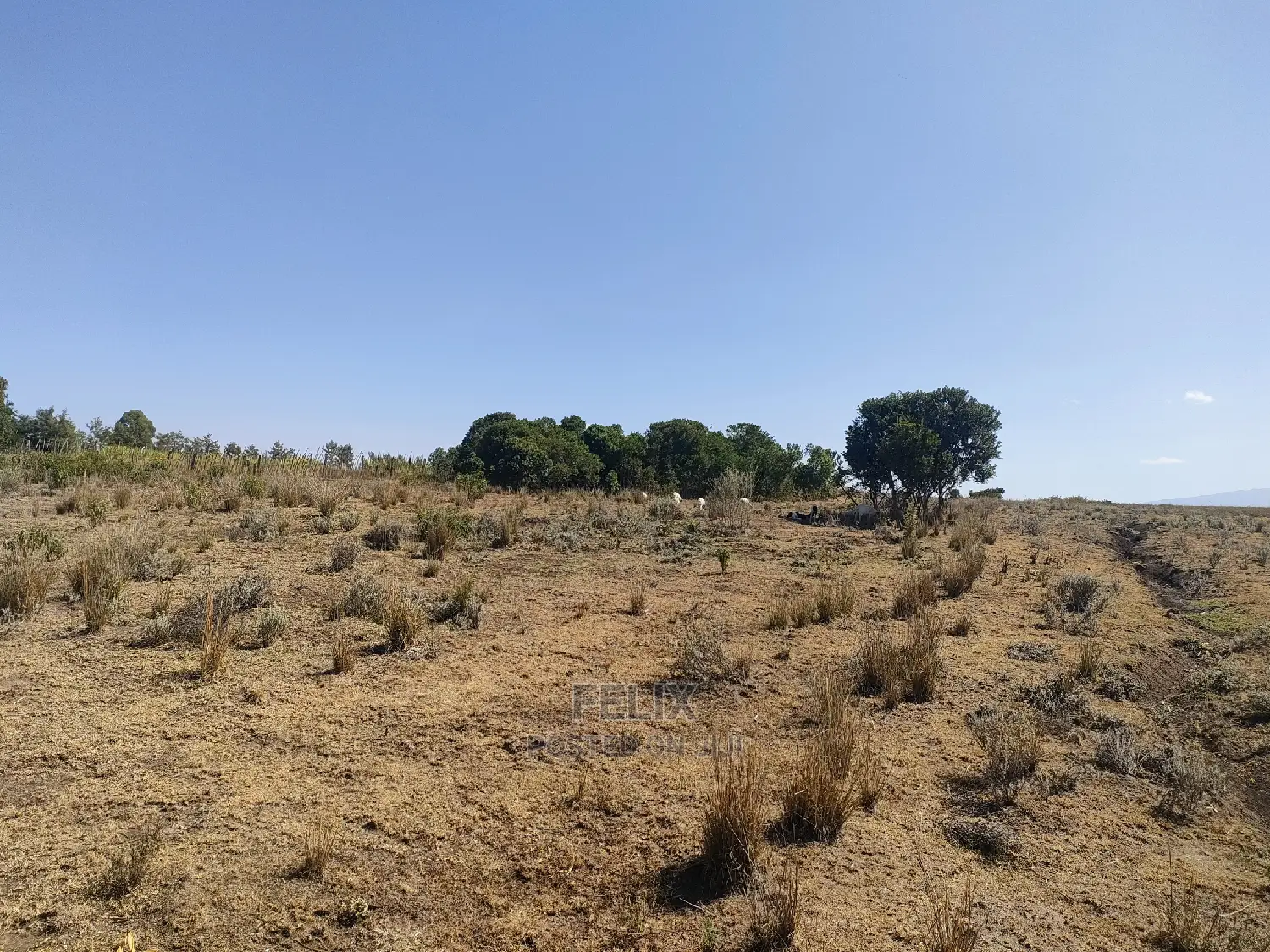 Chaka /Lusoi 2 Acres
