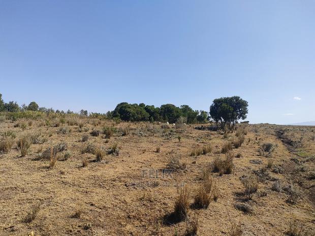 Chaka /Lusoi 2 Acres - thumbnail 17