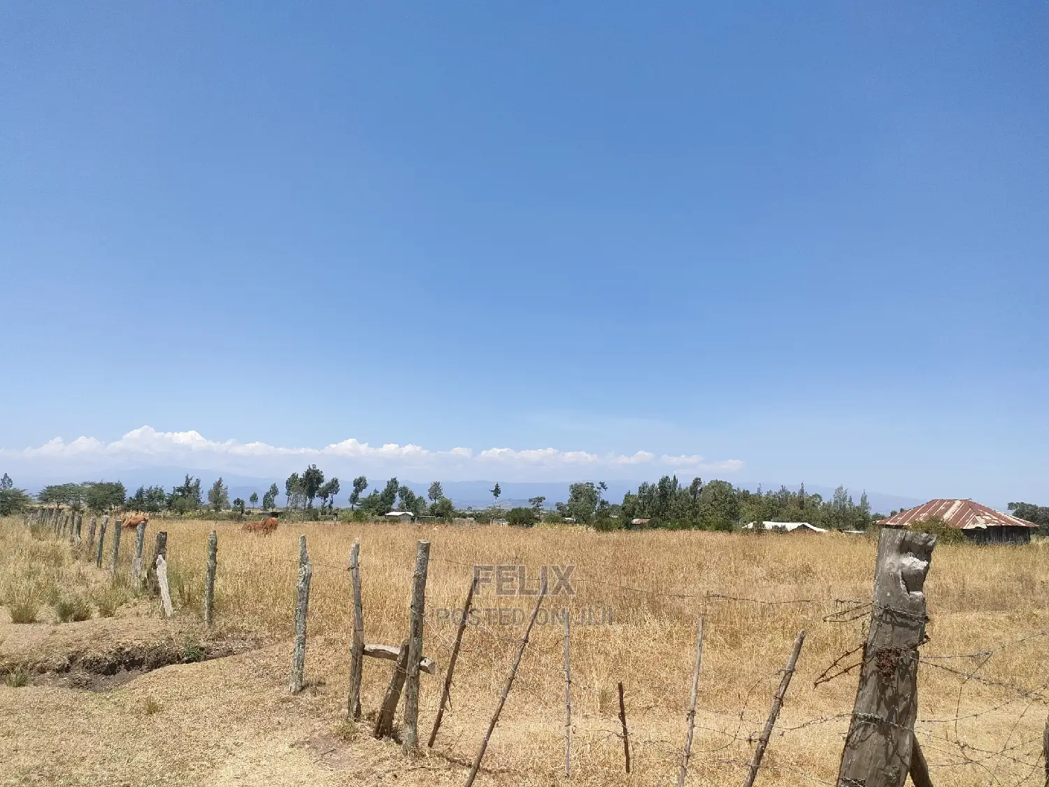 7 Acres Lusoi Chaka / Munyu Road