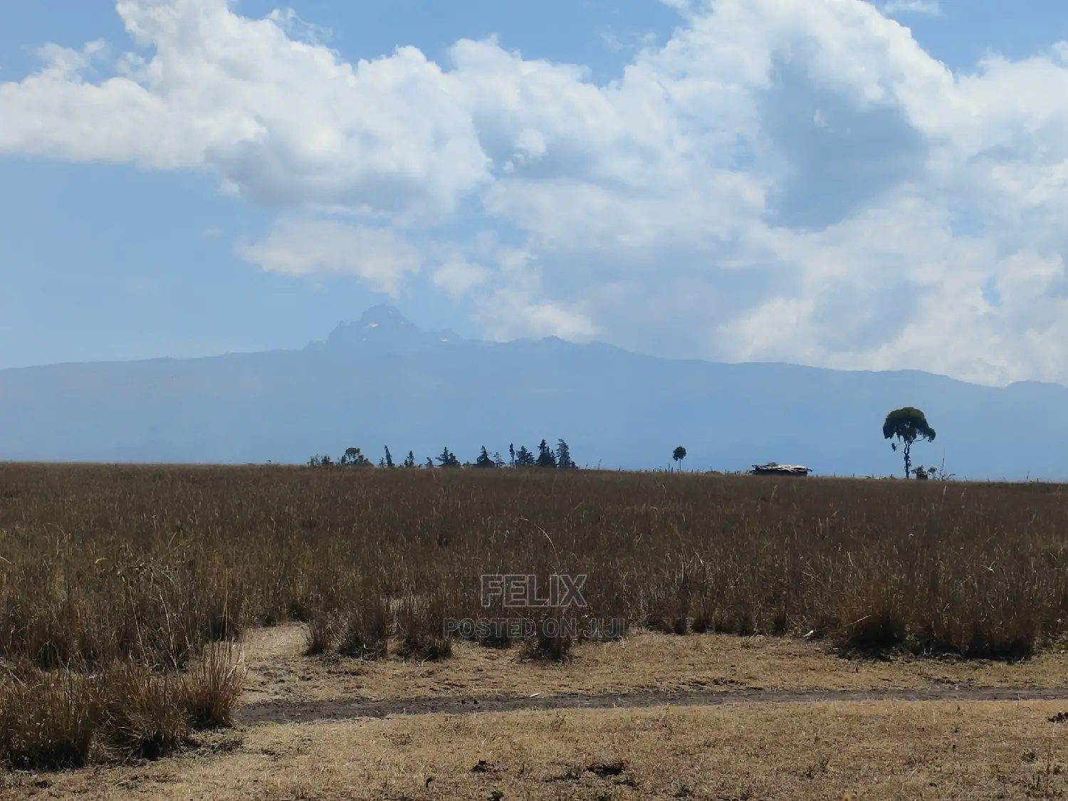 7 Acres Lusoi Chaka / Munyu Road
