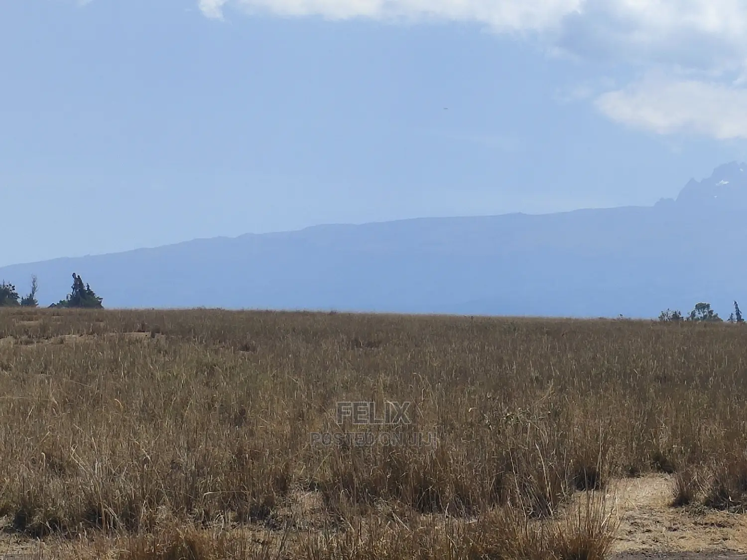 7 Acres Lusoi Chaka / Munyu Road