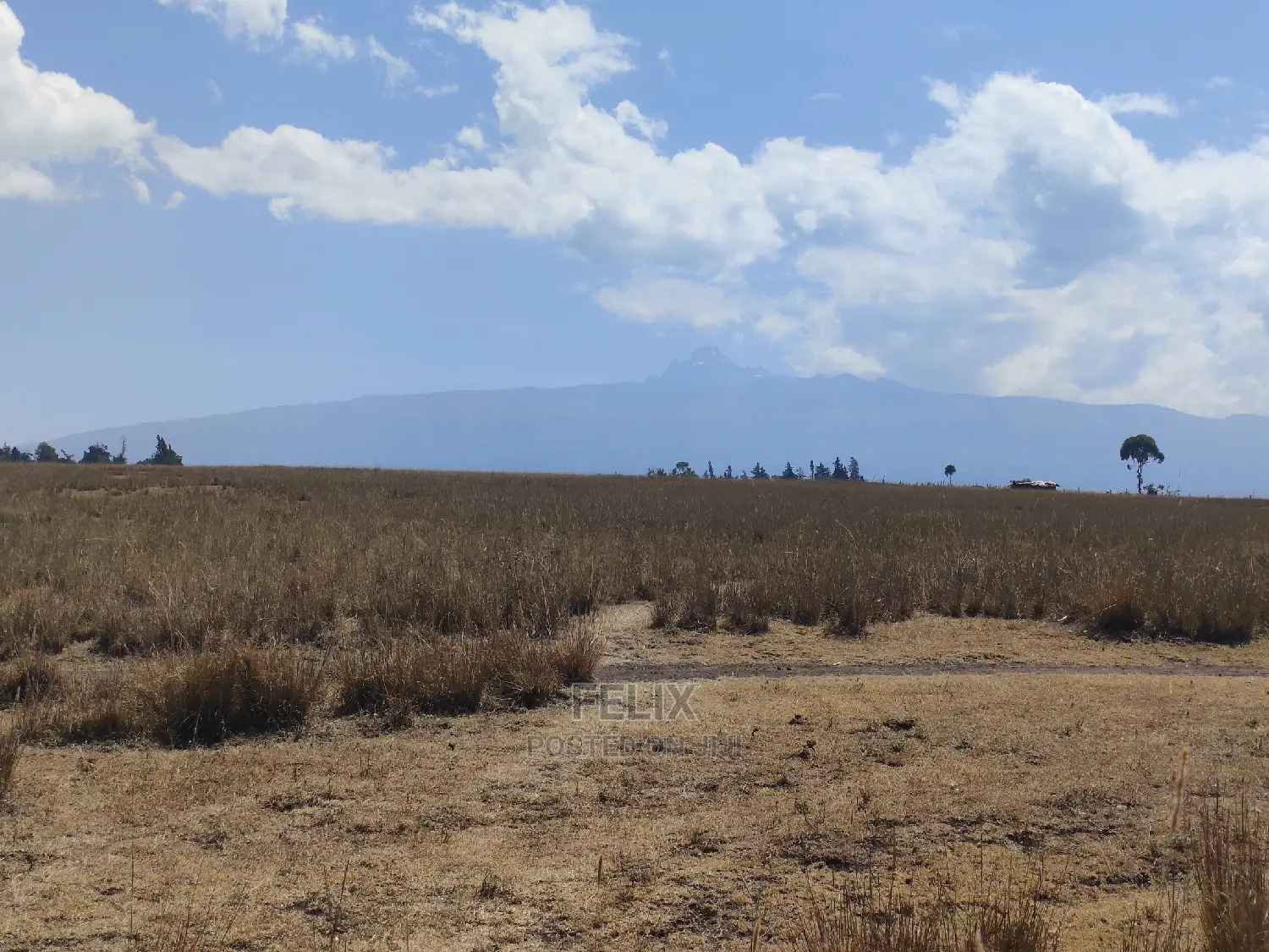 7 Acres Lusoi Chaka / Munyu Road