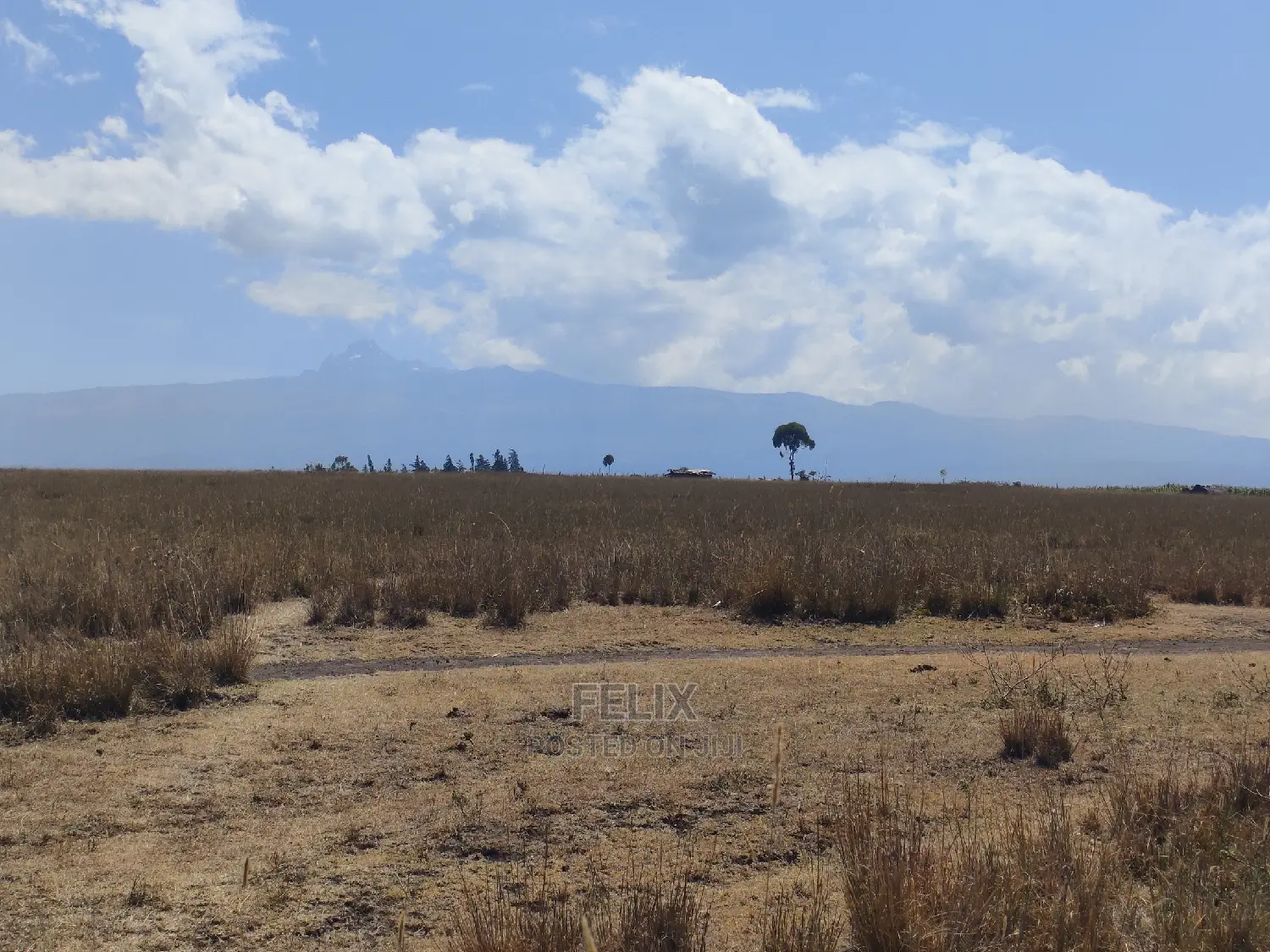 7 Acres Lusoi Chaka / Munyu Road
