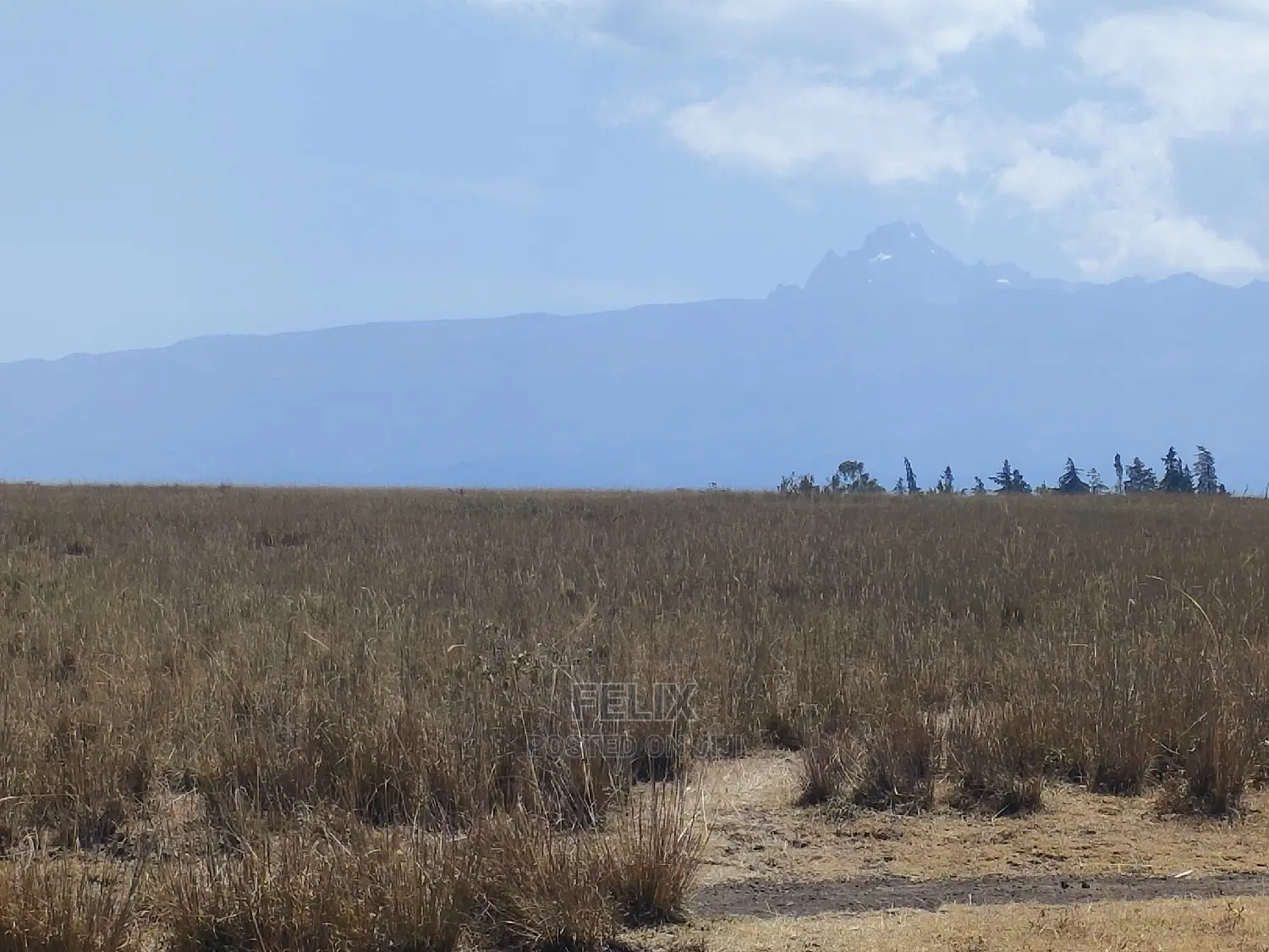 7 Acres Lusoi Chaka / Munyu Road