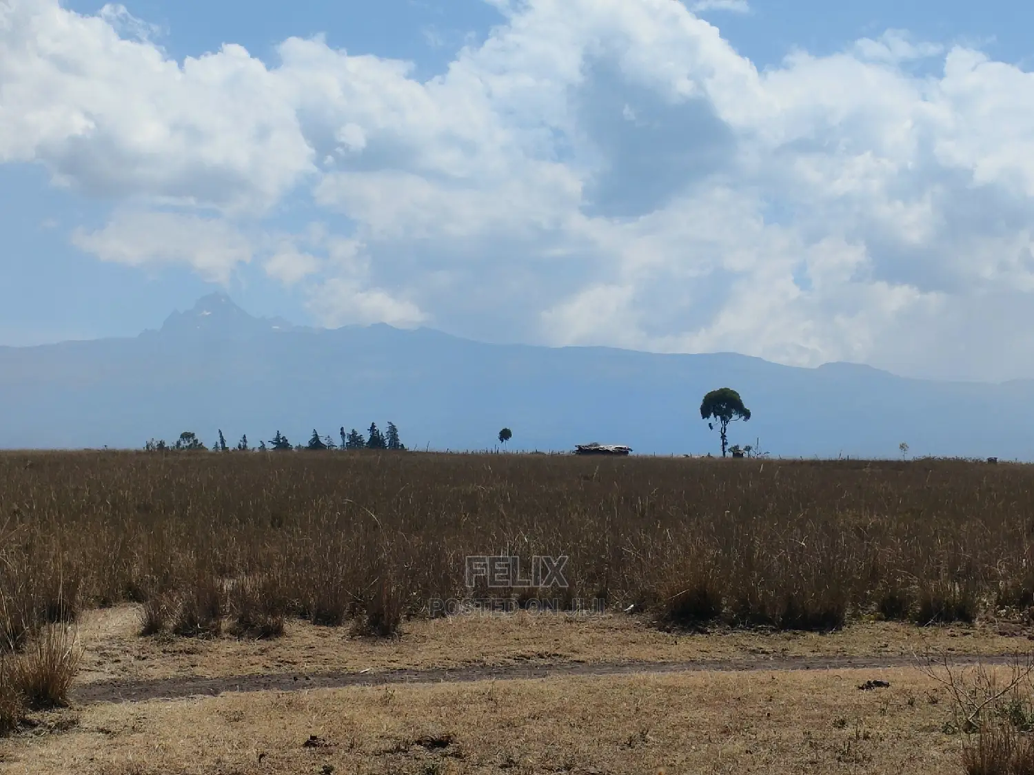 7 Acres Lusoi Chaka / Munyu Road