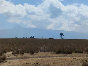 7 Acres Lusoi Chaka / Munyu Road